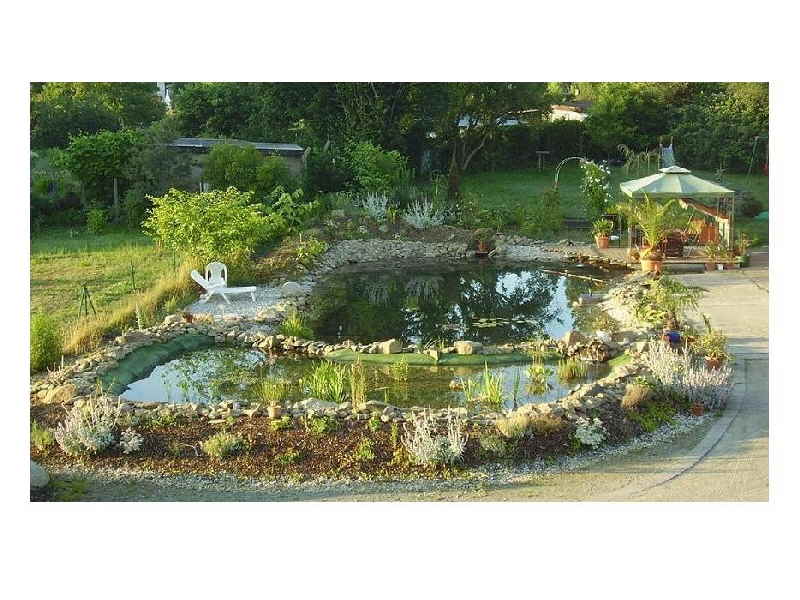 Gartenteich Wellness