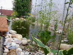 Wellness Herbst Wellness Herbst