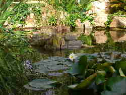 Wellness Biotop im Garten